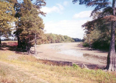 Murphy Lake at low tide.